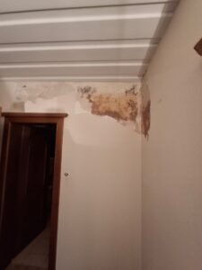 WhatsApp Image 2026-01-27 at 21.45.06 (1)