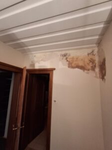 WhatsApp Image 2026-01-27 at 21.45.06 (2)