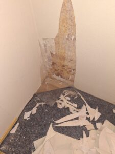 WhatsApp Image 2026-01-27 at 21.45.06 (3)