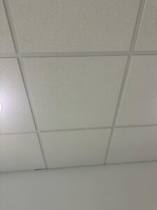 WhatsApp Image 2026-01-27 at 21.52.13