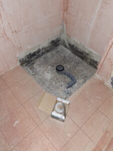 WhatsApp Image 2026-01-27 at 22.01.33 (3)