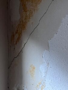 WhatsApp Image 2026-01-27 at 22.19.05