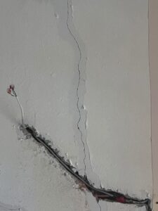 WhatsApp Image 2026-01-27 at 22.19.05 (5)