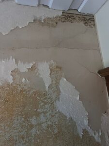 WhatsApp Image 2026-01-27 at 22.19.06