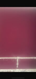 WhatsApp Image 2026-01-27 at 22.20.31 (6)