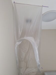 WhatsApp Image 2026-02-14 at 13.47.34 (1)